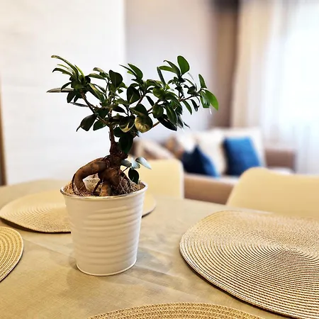 - Spacious Designer In Lejlighed *